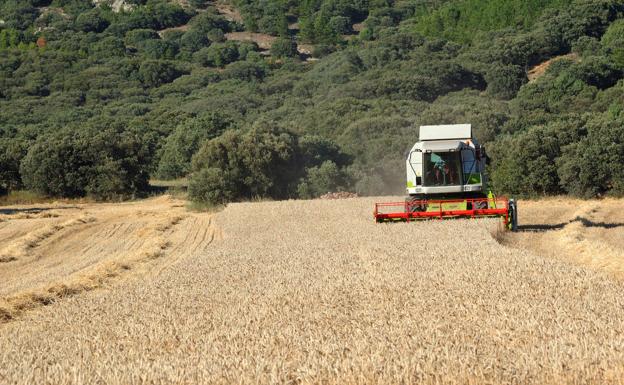 La renta agraria se mantiene estable y alcanza este año los 28.361 millones de euros