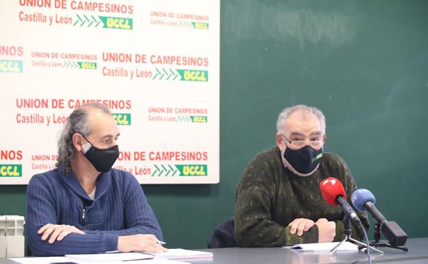 UCCL reclama que la Administración asuma el lucro cesante por los ataques de lobo