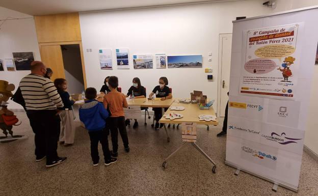 Más de 600 dientes para la Colección del Ratón Pérez en 2021