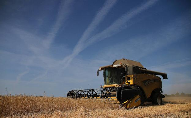 Casi 62.000 agricultores y ganaderos recibe 875,4 millones en dos meses por la PAC