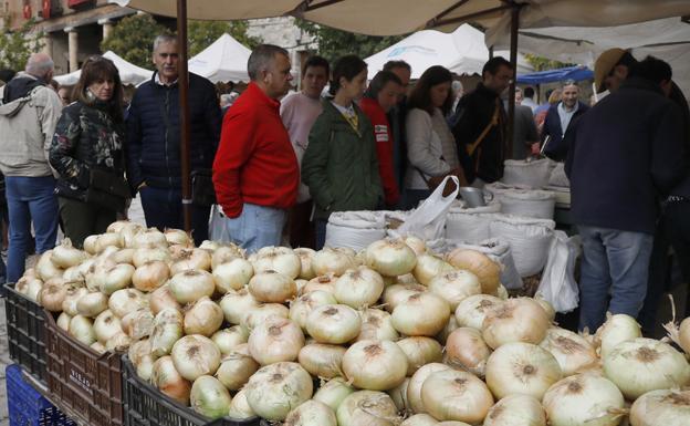 El PSOE cree que la certificación de calidad de la cebolla horcal de Pampliega «llega tarde» y pide la ampliación de la D.O. Arlanza