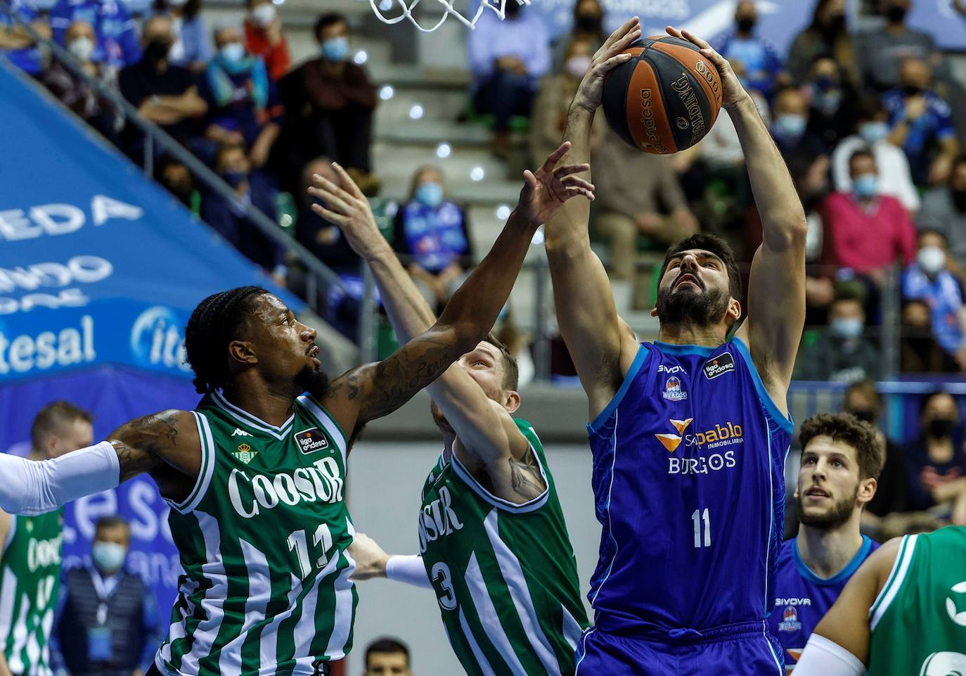 El Hereda San Pablo Burgos cae ante el Coosur Real Betis