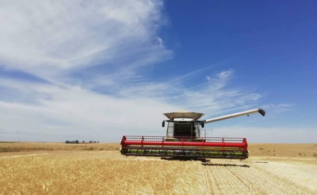 Casi 62.000 agricultores y ganaderos perciben en dos meses 875 millones de la PAC