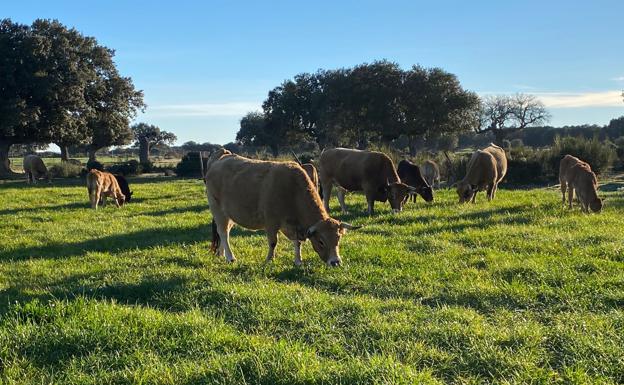 El tiempo esta semana: bajada de temperaturas mientras el campo se beneficia del sol de días pasados