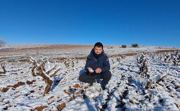 El tiempo esta semana: el viñedo burgalés se beneficia de la nieve de los últimos días