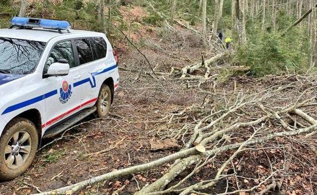 Fallece un trabajador del valle de Mena mientras realizaba trabajos forestales en Álava