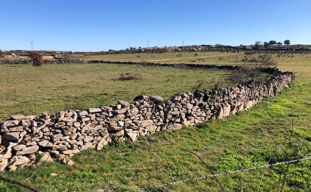 La Junta levanta el acotado de pastos de San Felices de los Gallegos, Salamanca