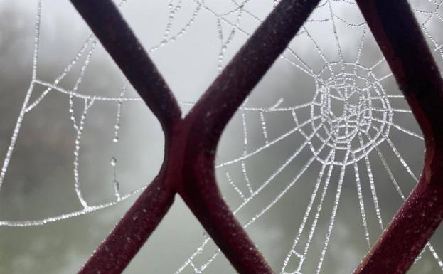 Las heladas protagonizan el fin de semana en la provincia de Burgos