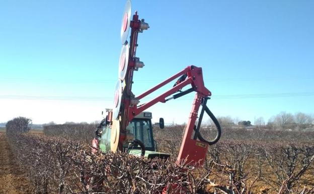 El tiempo esta semana: continúan las heladas generalizadas en época de poda de almendros