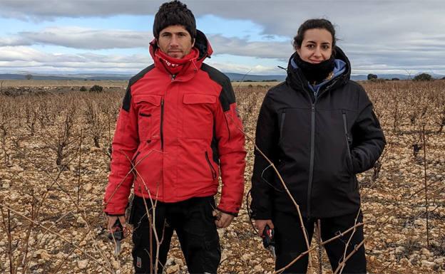 La Unión de Campesinos de Burgos inicia el programa de movilidad para jóvenes agricultores