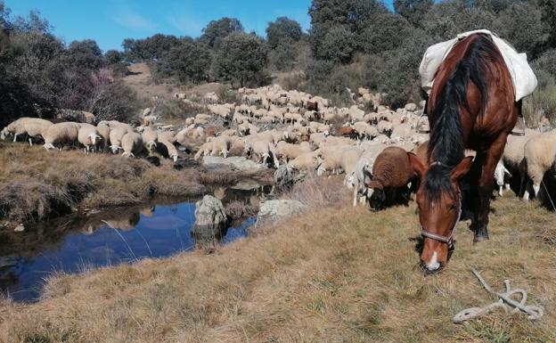 El tiempo esta semana: el campo sigue a la espera de la deseada lluvia que tampoco llega en los próximos días