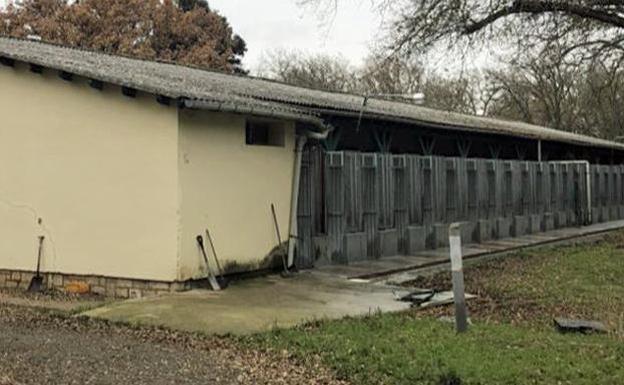 Los animales de la perrera de Burgos estarán a cargo de la protectora Scooby mientras duren las obras