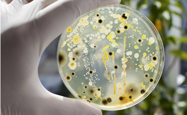 El poder de las bacterias para convertir residuos químicos en nuevos materiales