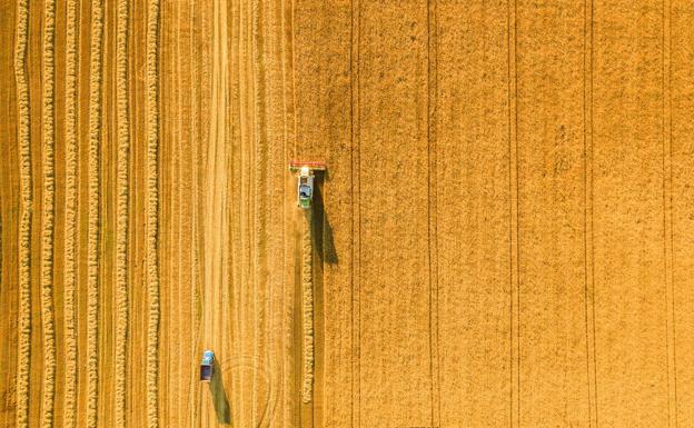 La lonja de León aplica subidas de entre 15 y 24 euros a los cereales y deja sin cotizar el maíz