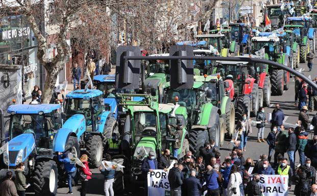 Unos 3.000 agricultores, con 250 tractores, reclaman precios justos en Zamora