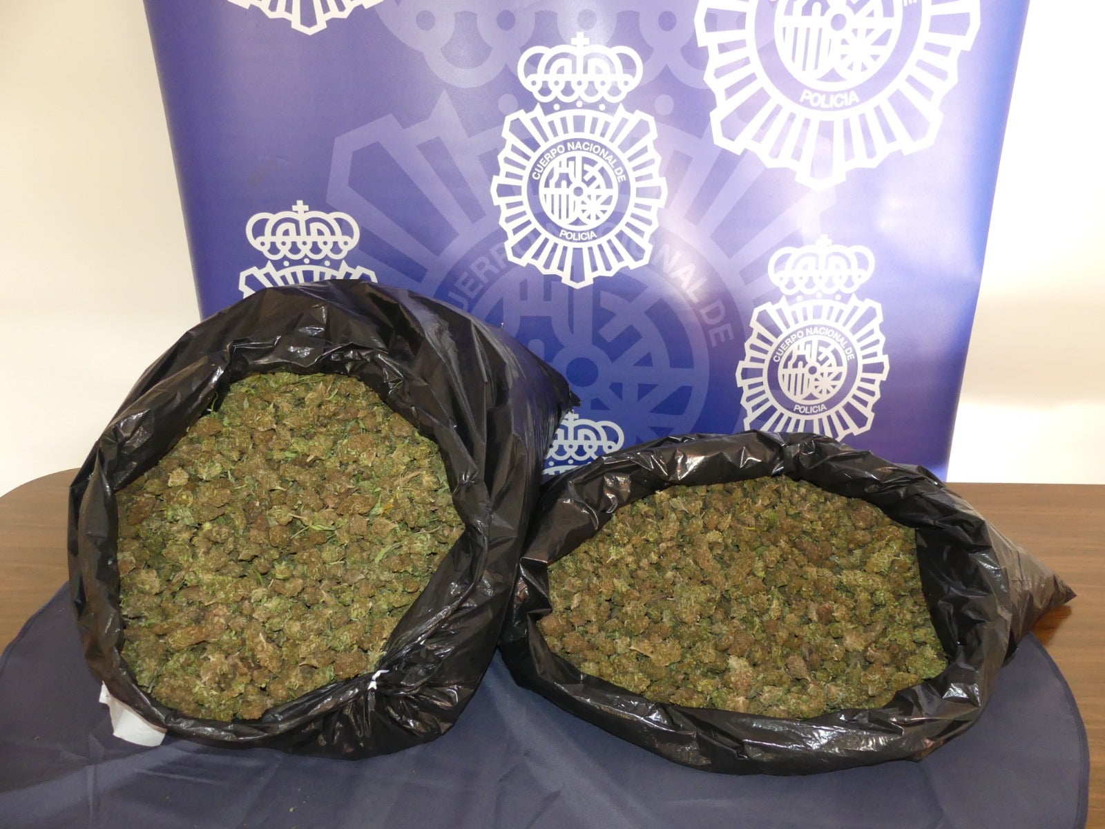 Incautan más de 18 kilos de marihuana en una zona boscosa de Aranda