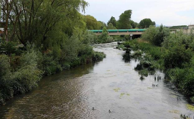 Descubren en las aguas residuales de Burgos una nueva bacteria resistente a los antibióticos