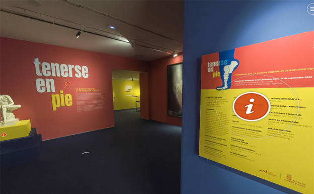 El MEH estrena una visita virtual de la exposición 'Tenerse en pie. La postura erguida de la evolución humana'