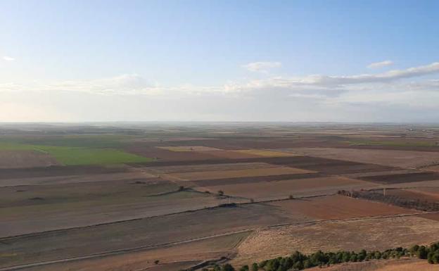 España pedirá en el Consejo de Ministros de la UE el incremento de la producción de cereales y proteaginosas