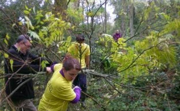 Vuelve 'Basuraleza' en Burgos con un grupo de andarines del programa 'Andar en Salud'