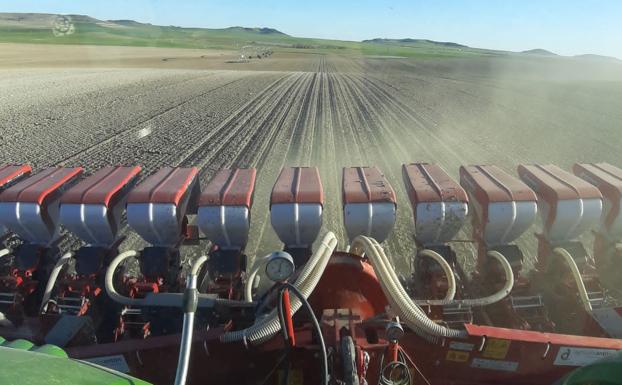 El tiempo esta semana: los agricultores organizan las tareas pendientes de las precipitaciones