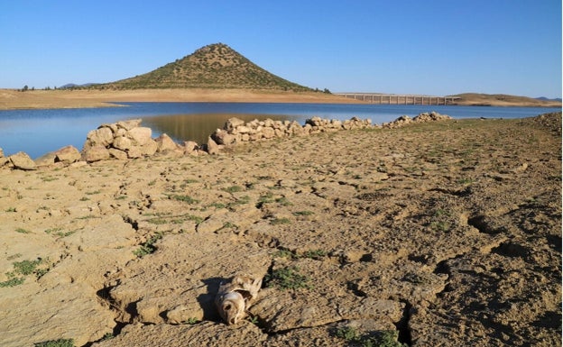 Las lluvias llenan los embalses con 462 hectómetros cúbicos