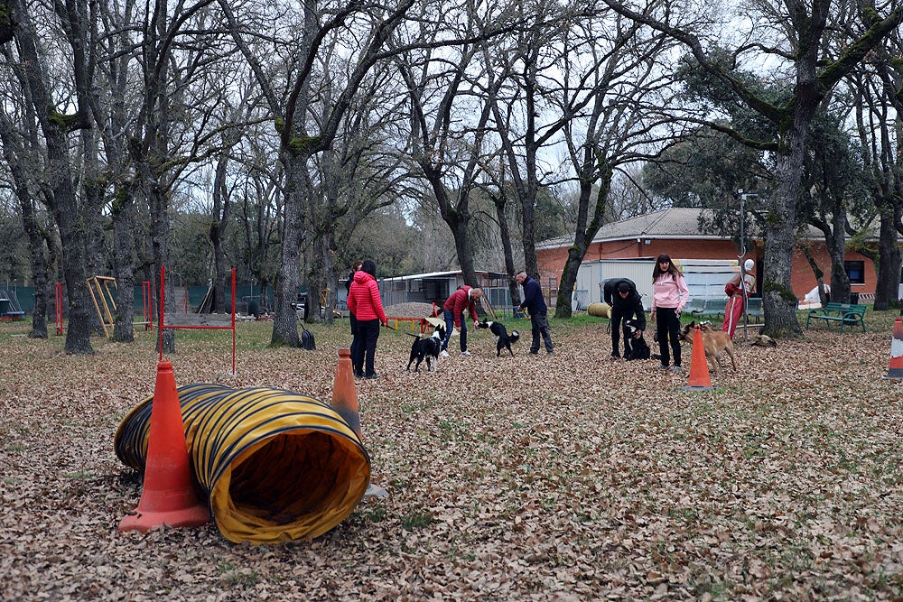 El GREM de Burgos entrena a los nuevos perros de rescate y salvamento