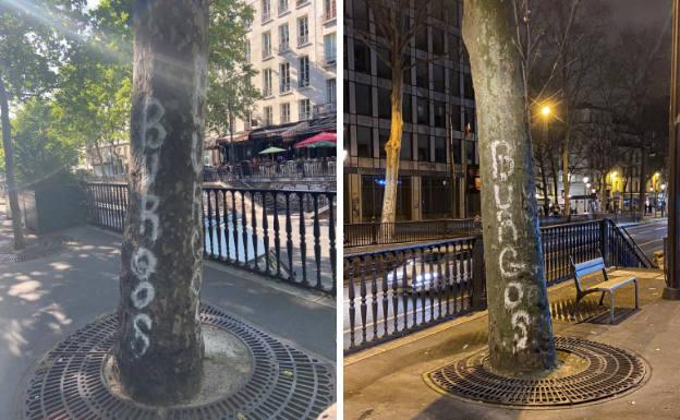 Aparecen árboles vandalizados con la palabra 'Burgos' en París