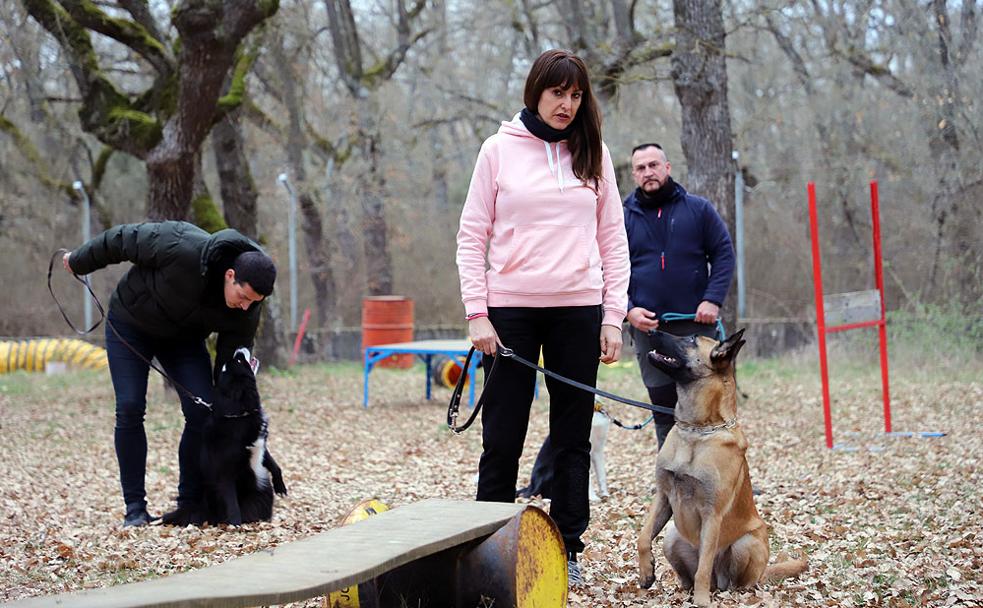 Tres perreras para ocho animales: el GREM de Burgos vive una situación insostenible