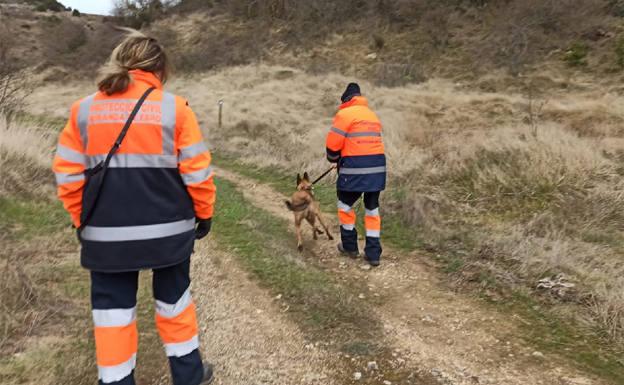 La Unidad Canina de Miranda pasa a forma parte de la Liga Internacional de Asistencia y Rescate (R.I.A.L)