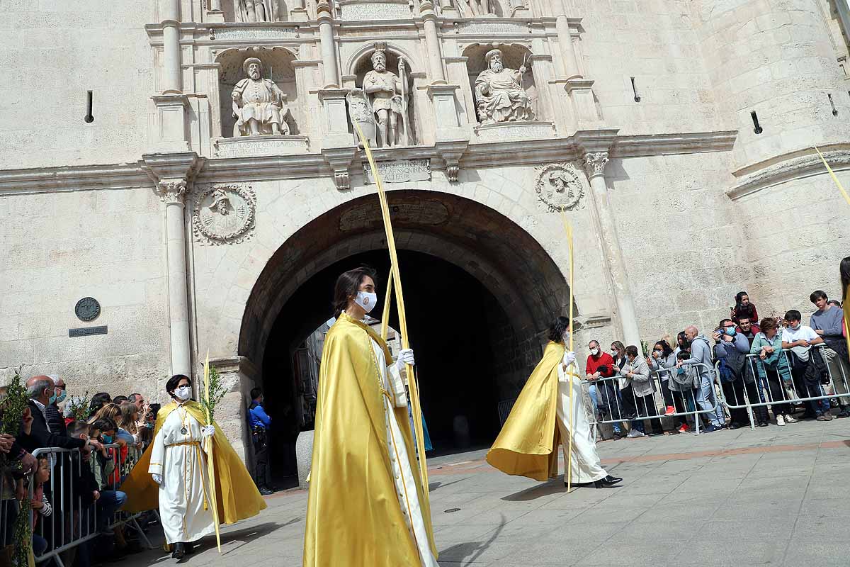 Palmas en Burgos para recibir a La Borriquilla