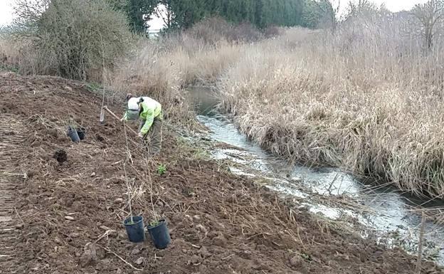 15.000 euros para restaurar el río Vena en Burgos