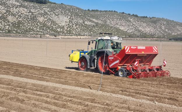 Las lluvias escalonan la siembra de patatas que, en principio, mantiene superficie