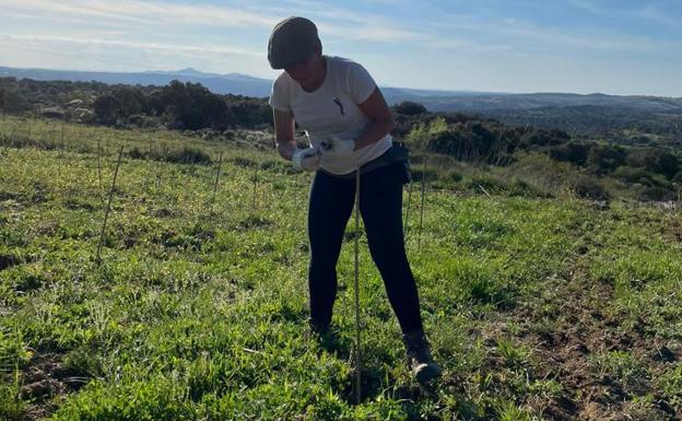 El tiempo esta semana: notable bajada de las temperaturas sin descartar precipitaciones