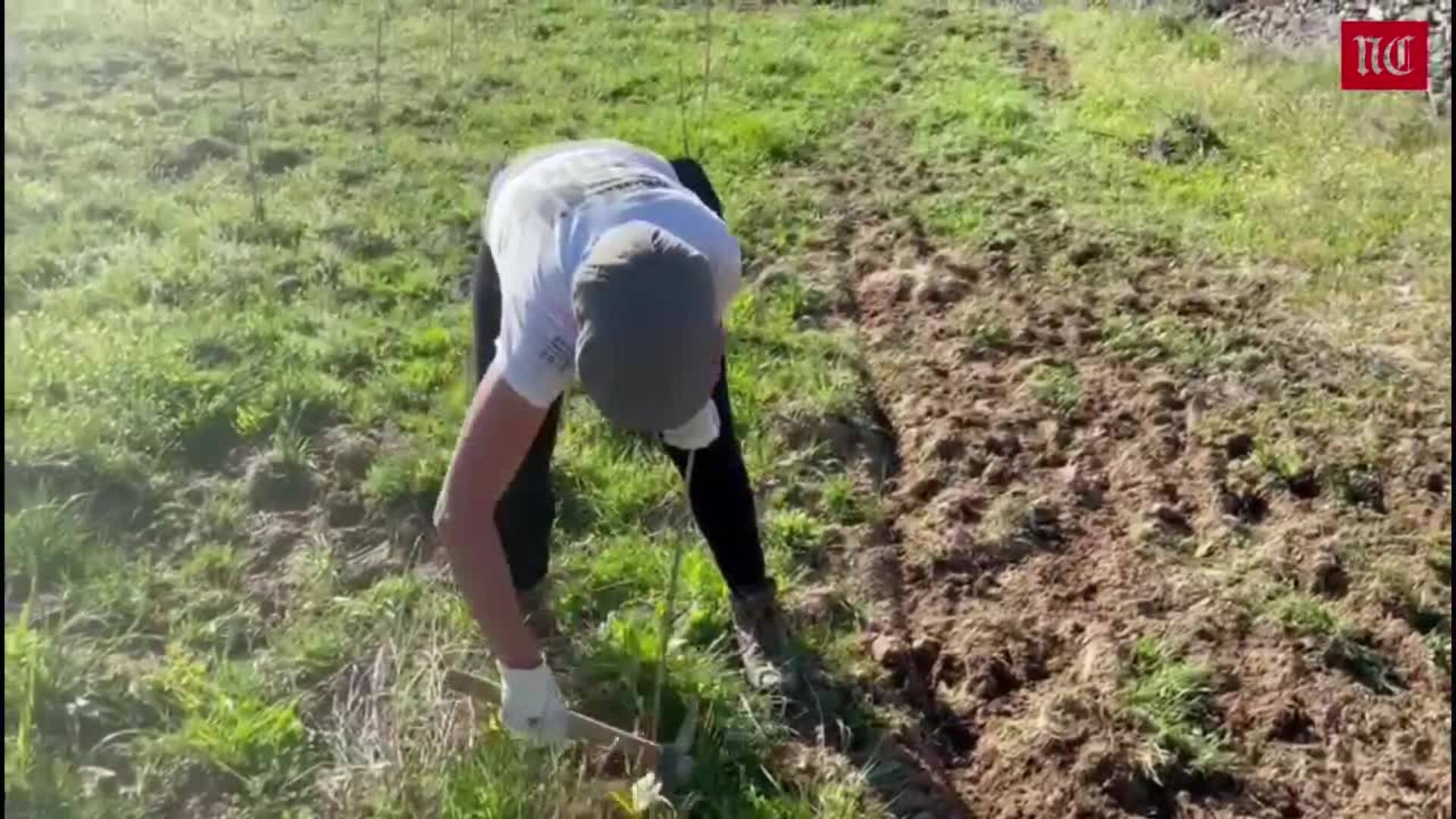 SomosCampo, el tiempo de la semana del 18 al 24 de abril en el campo de Castilla y León