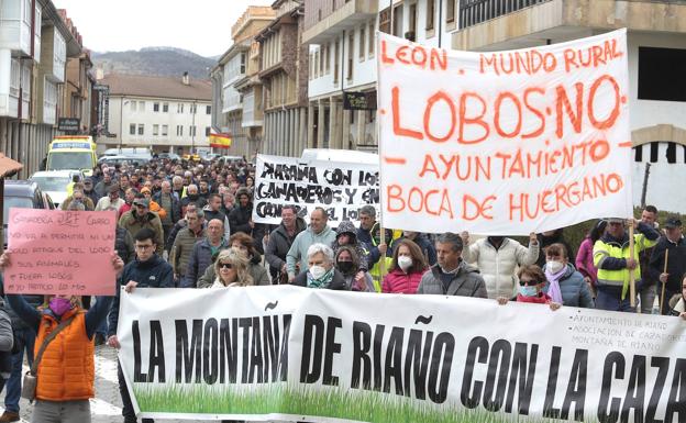 Medio millar de ganaderos de la zona de Riaño piden que se ataje la población de lobos