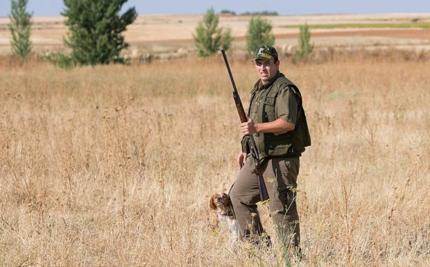 La Junta solicita la retirada de la propuesta de la codorniz como especie en peligro de extinción