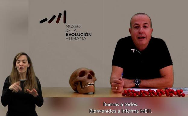 El MEH lanza un proyecto para dar a conocer las últimas noticias de prehistoria y paleontología