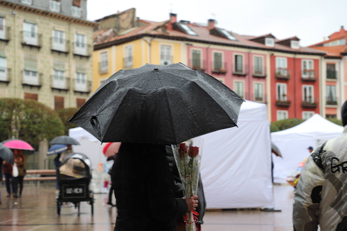 La lluvia desluce el Día del Libro en Burgos