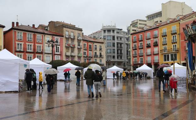 La lluvia obliga a los libreros a dejar la Plaza Mayor y volver a las librerías este 23 de abril