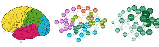 Análisis de redes, relaciones espaciales y cartografía cerebral
