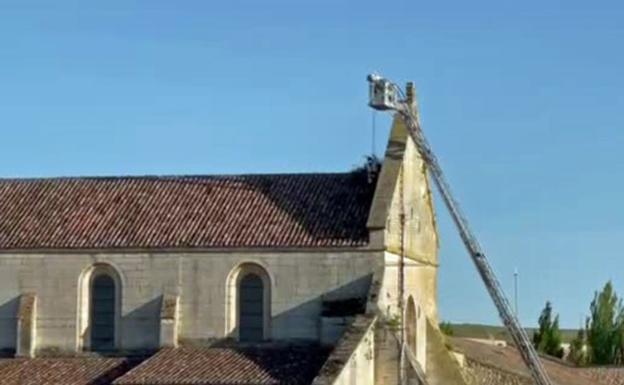 Los Bomberos de Burgos, al rescate de los pollitos de una cigüeña en Las Huelgas