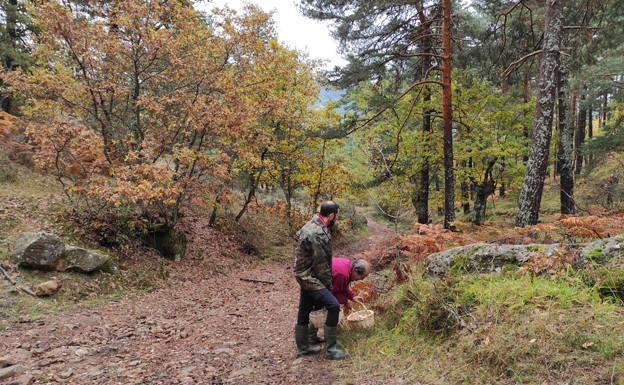 Regumiel de la Sierra acoge la Primavera Setera 2022 organizada por Montes de Soria