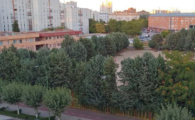 Urgen la poda de los árboles del campo de fútbol de Juan de Padilla por riesgo de accidente