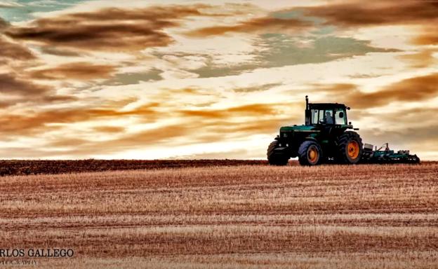 La exposición 'Surcos de Arlanza' recorrerá los pueblos de la comarca