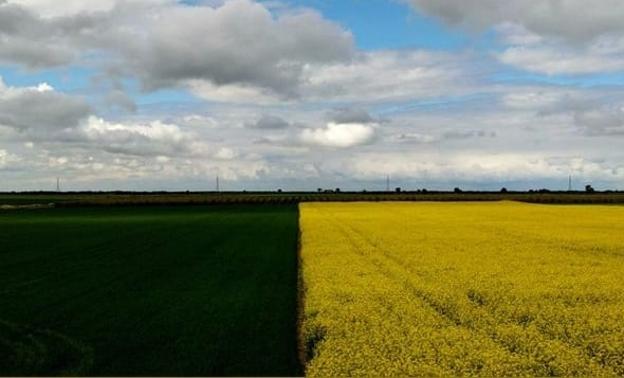 De los lagos de leche y vino al propósito verde