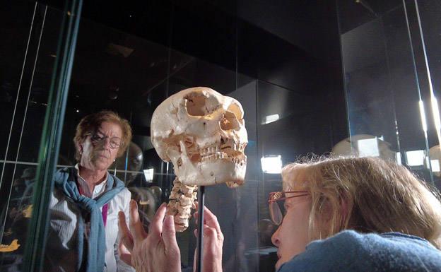 Las vértebras de 'Miguelón', a exposición en el MEH