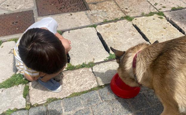 Burgos deja atrás un mayo 2,2 grados más caluroso que el de hace un año