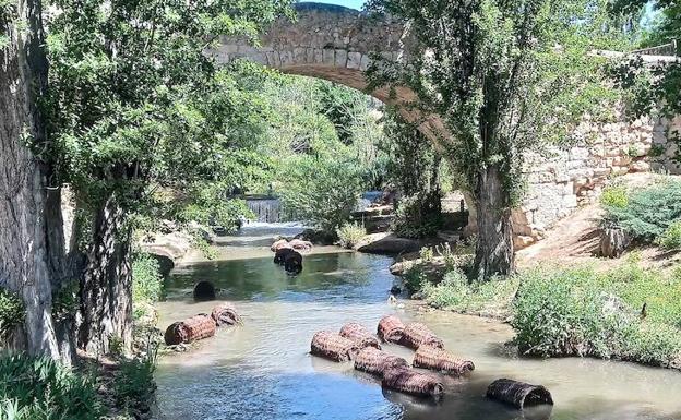 Cestos de mimbre flotan en el río Bañuelos de Aranda para rememorar la antigua vendimia