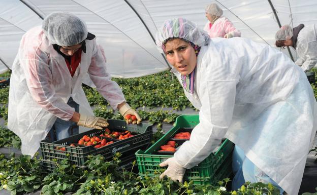 Escrivá ultima una reforma para cubrir con trabajadores extranjeros la falta de personal